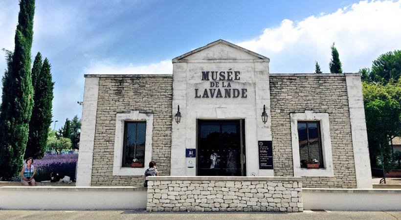 1525837850358098082.jpg 薰衣草博物馆X.jpg