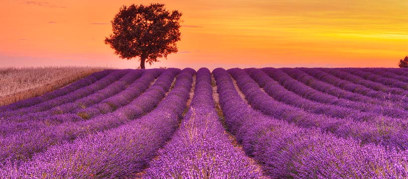 1582176081179082527.jpg 2.jpg