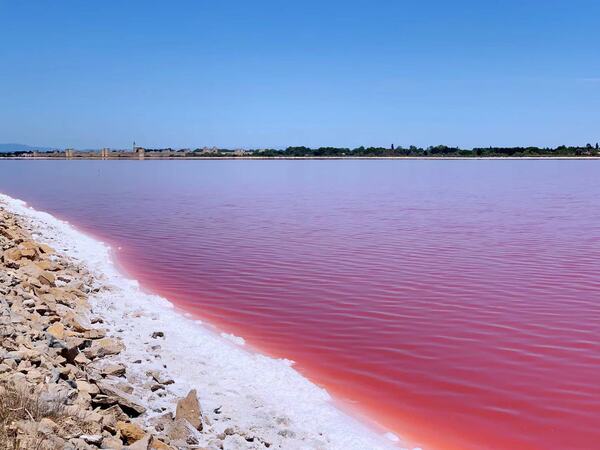 1660116926709040802.jpg 微信图片_20220808093500.jpg